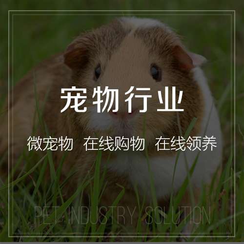 黄南藏族宠物