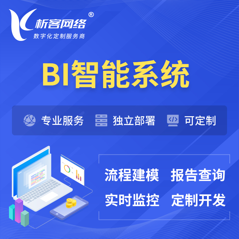 黄南藏族BI智能系统 | BI数据可视化